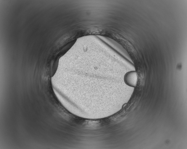 X0000116810665201001081356