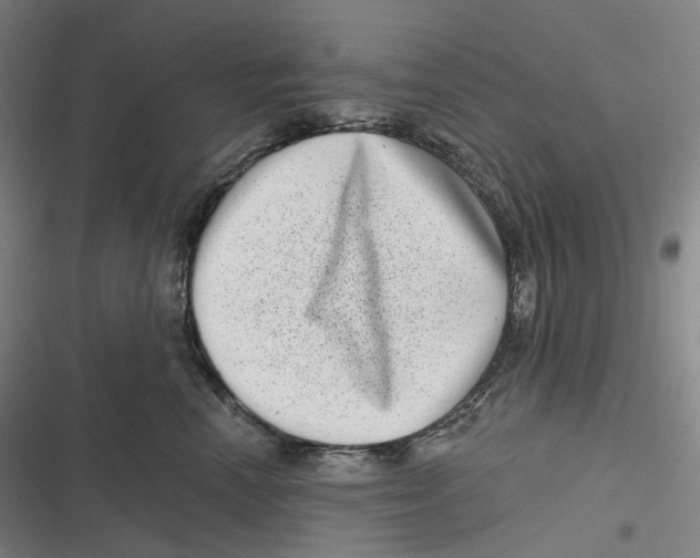 X0000116810666201001081356