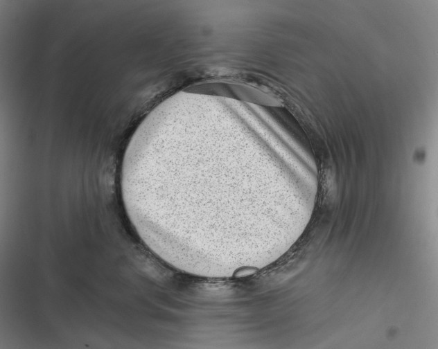 X0000116810668201001081356