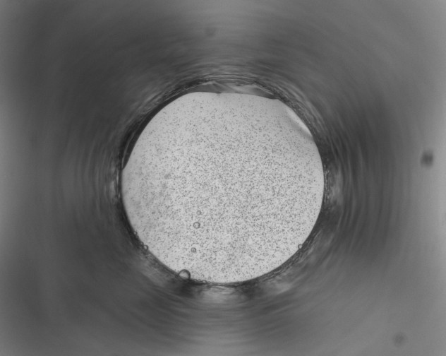 X0000116810669201001081356