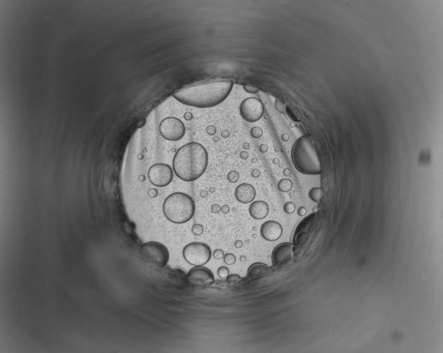 X0000116810671201001081356