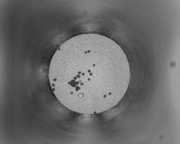 X0000116810672201001081356