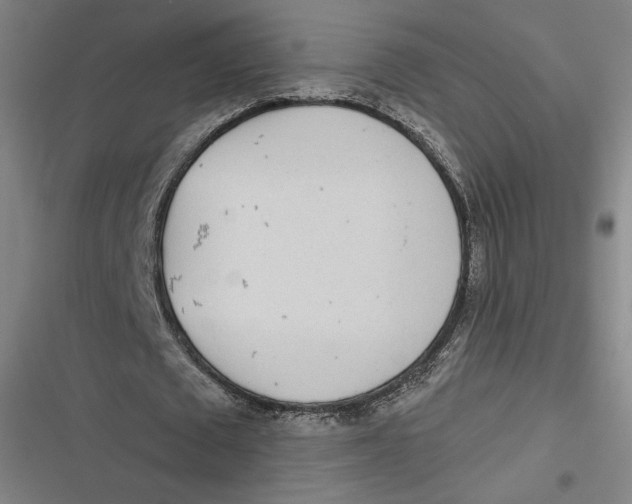 X0000116810673201001081356