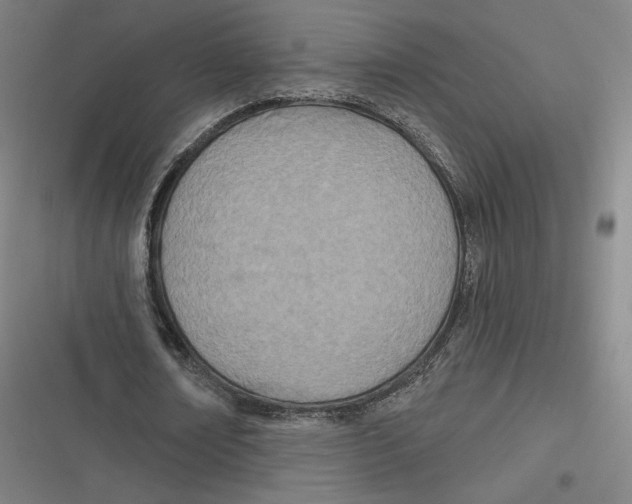 X0000116810674201001081356