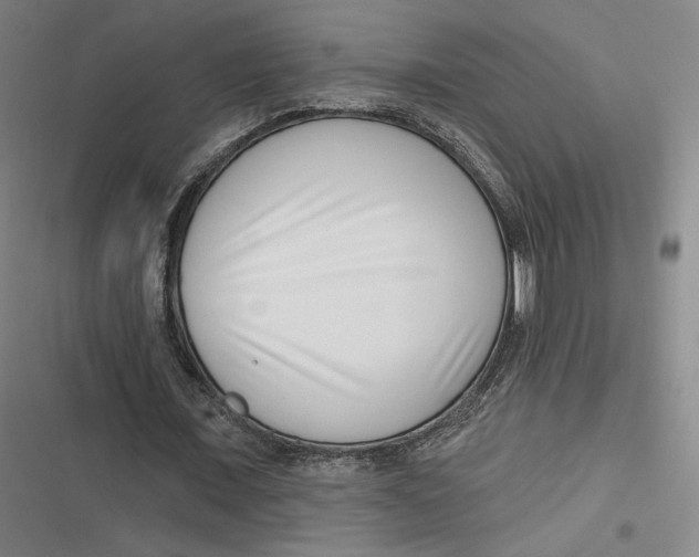 X0000116810675201001081356