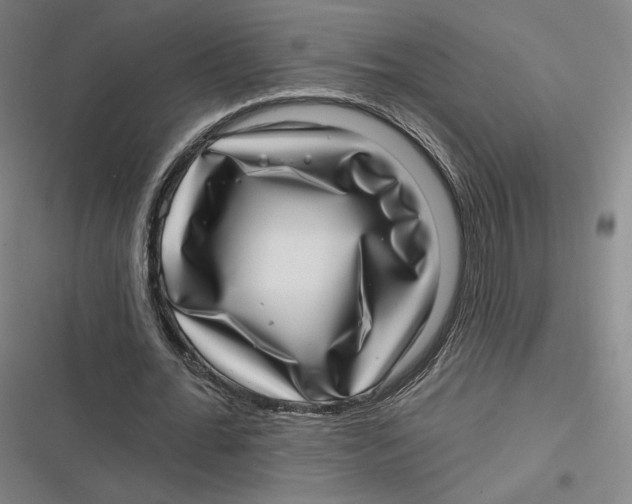 X0000116810676201001081356