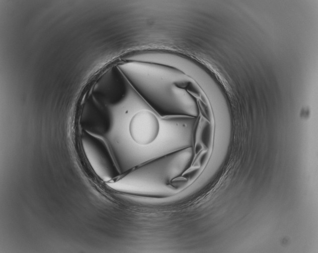 X0000116810677201001081356