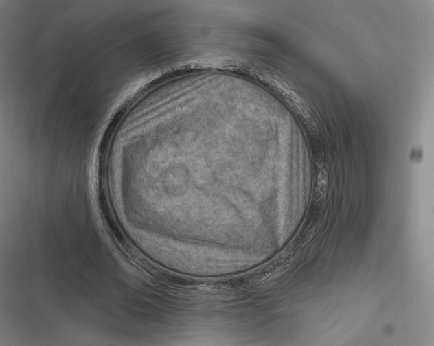 X0000116810678201001081356