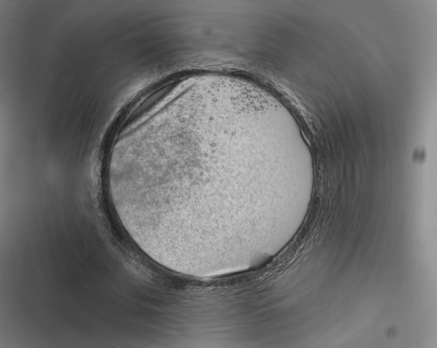 X0000116810679201001081356