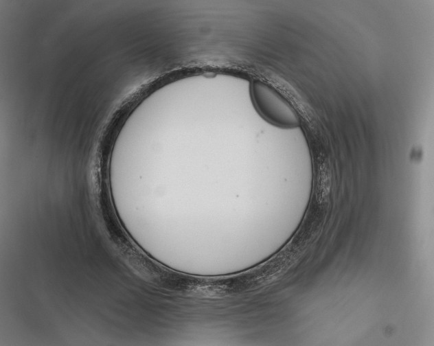 X0000116810680201001081356