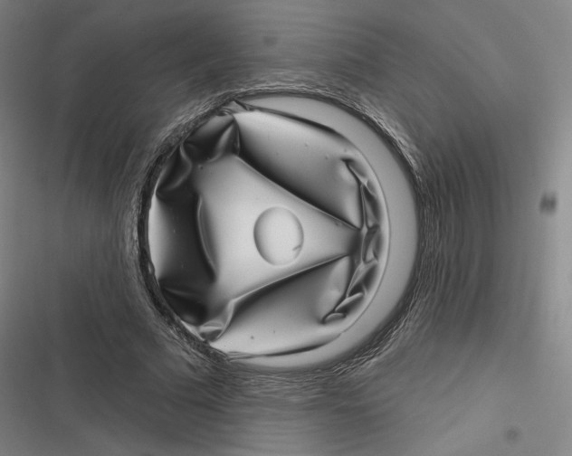 X0000116810681201001081356