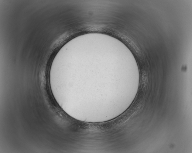 X0000116810682201001081356