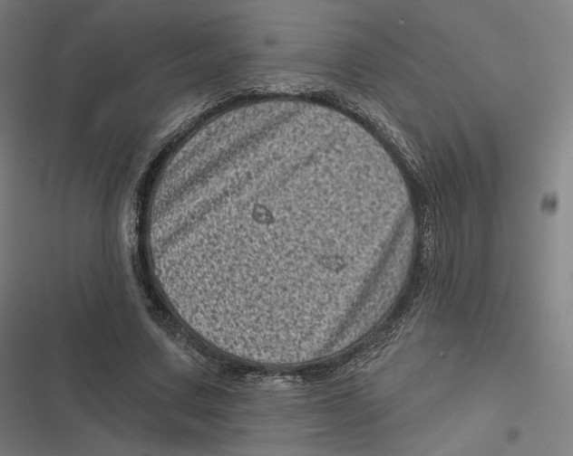 X0000116810683201001081356