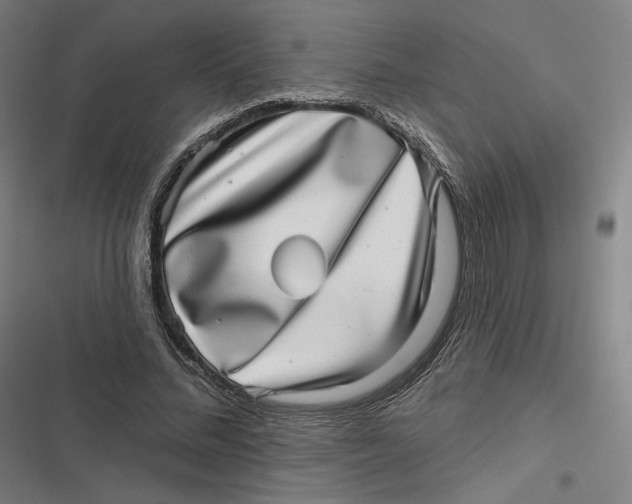 X0000116810684201001081356