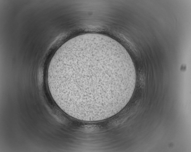 X0000116810686201001081356