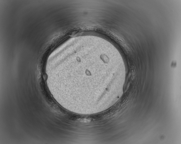 X0000116810687201001081356