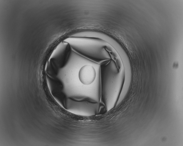 X0000116810688201001081356