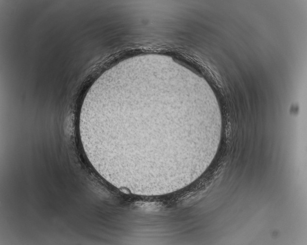 X0000116810689201001081356