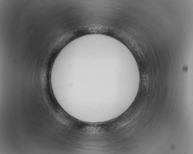 X0000116810690201001081356