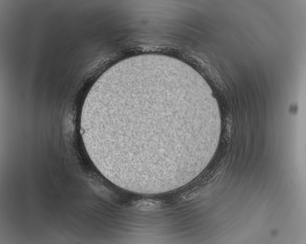 X0000116810691201001081356