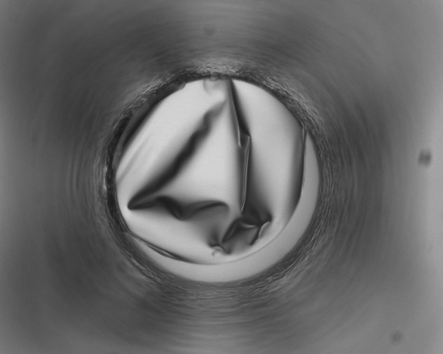 X0000116810692201001081356