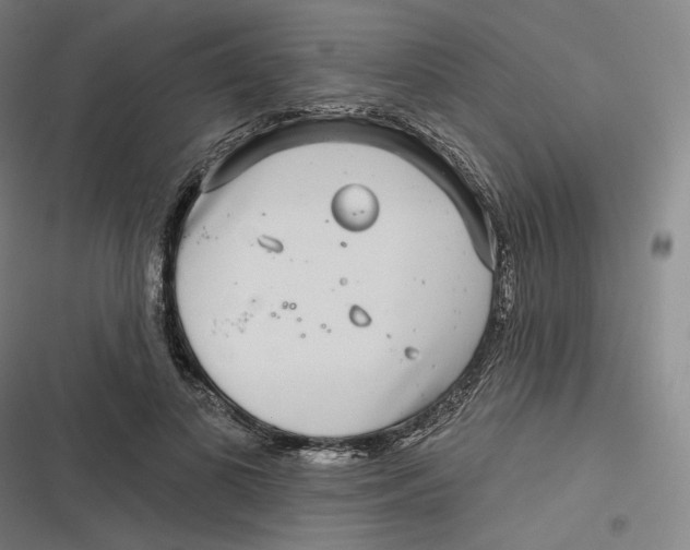 X0000116810693201001081355