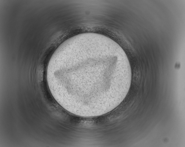 X0000116810694201001081355