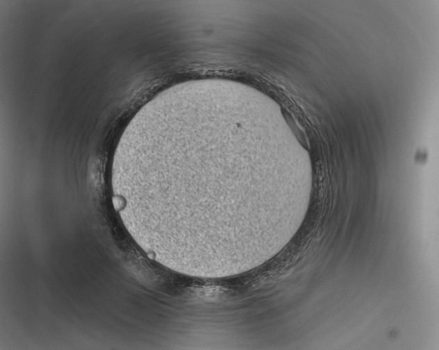 X0000116810695201001081355