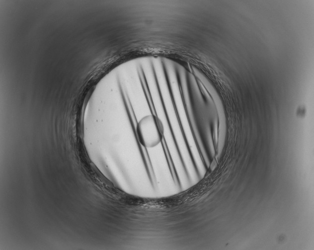 X0000116810696201001081355