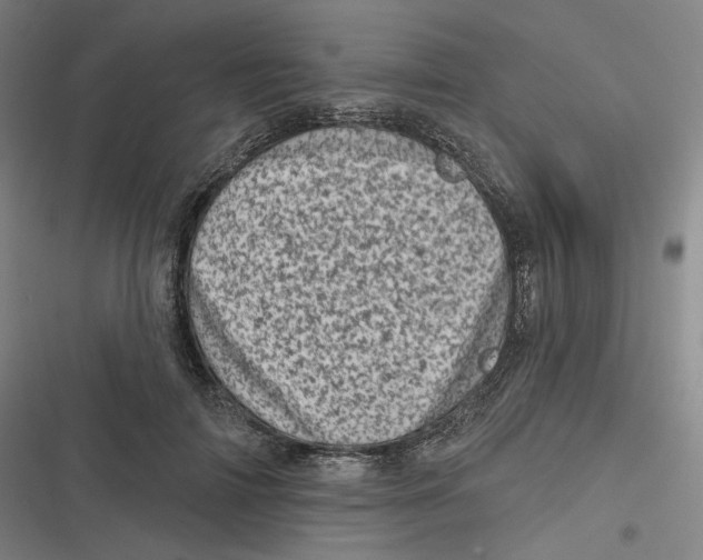 X0000116810698201001081355