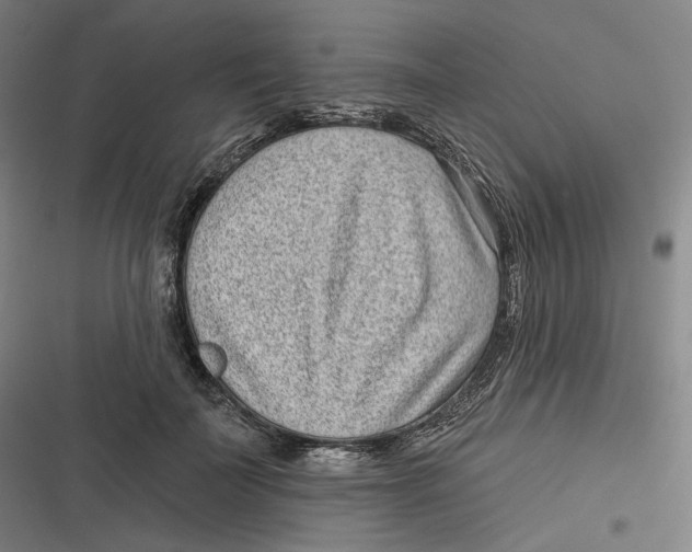 X0000116810699201001081355