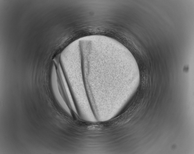 X0000116810700201001081355