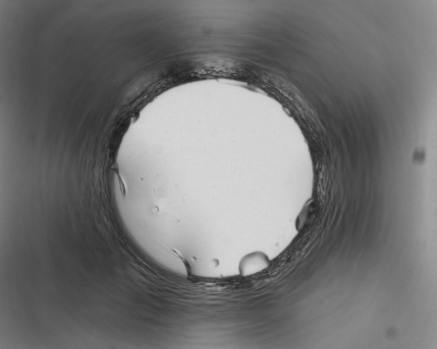 X0000116810701201001081355