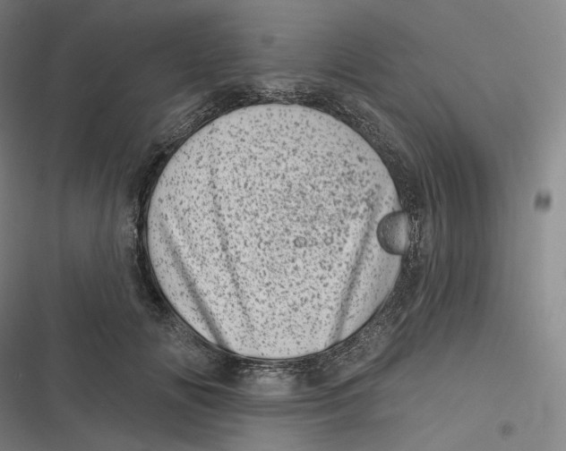 X0000116810702201001081355