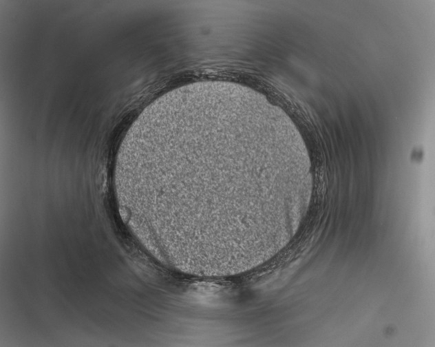 X0000116810703201001081355