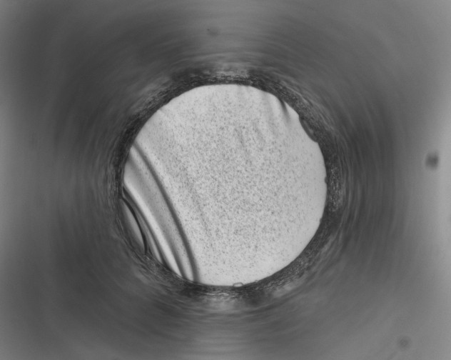 X0000116810704201001081355