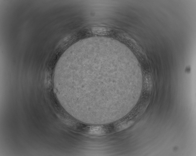 X0000116810705201001081355