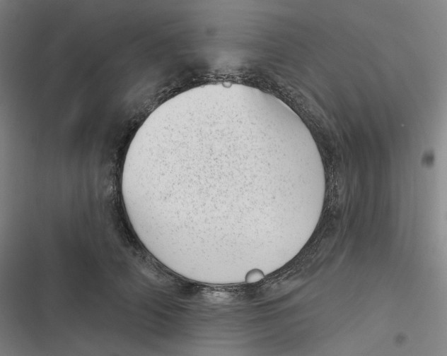 X0000116810706201001081355