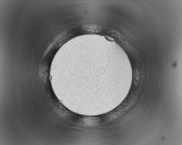 X0000116810707201001081355