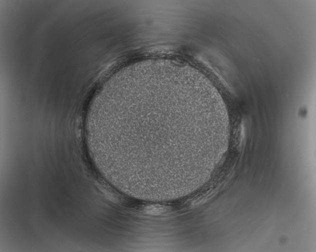 X0000116810708201001081355