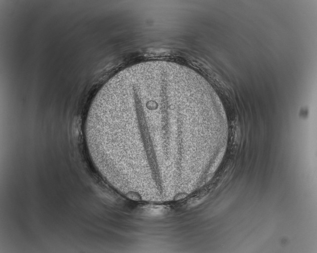 X0000116810711201001081355