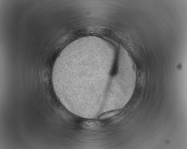 X0000116810712201001081355