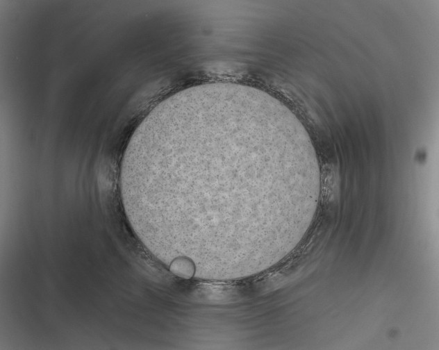 X0000116810713201001081355