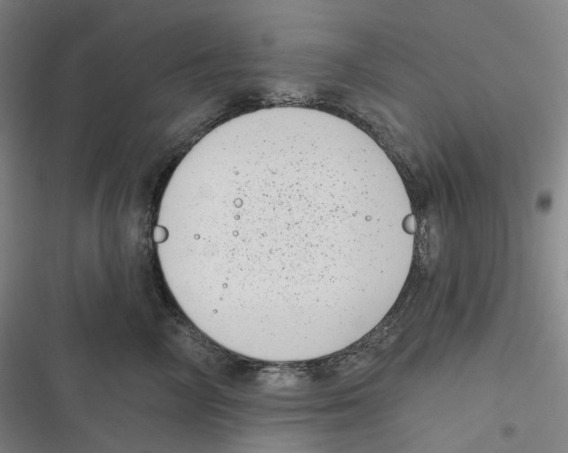 X0000116810714201001081355