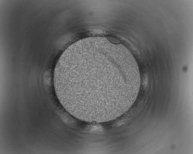 X0000116810715201001081355