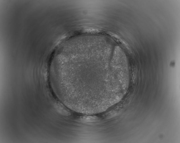 X0000116810716201001081355