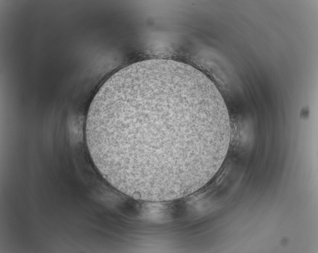 X0000116810717201001081355