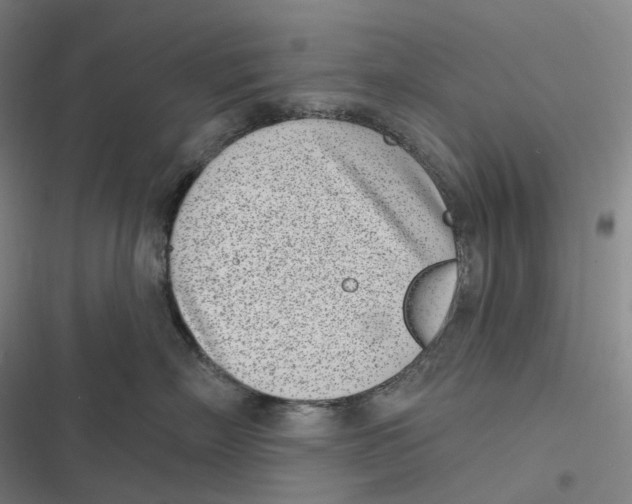 X0000116810718201001081355