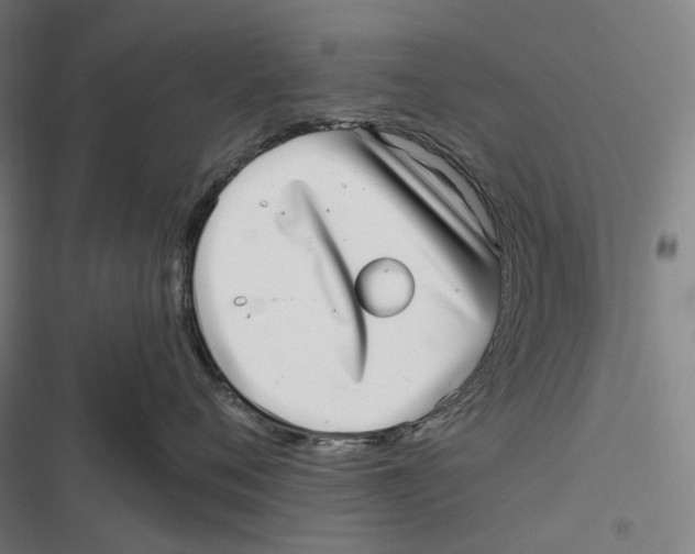 X0000116810720201001081355