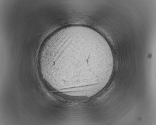 X0000116810721201001081354